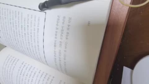 미스터리세계사,그레이엄도널드,이스터섬,모아이,라파누이,호주,네덜란드,탐험가,자콥 로저빈,채석장 ,조각도구, 해안가, 와이오밍주, 고고학자, 찰스러브,노반,보초,네케네케,다리없이걷기