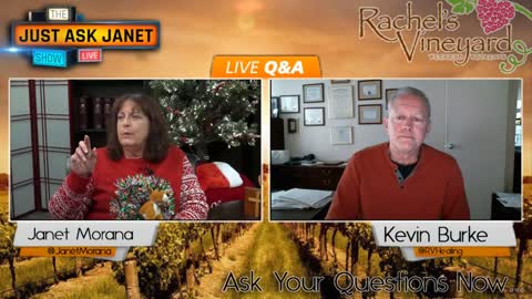 Just Ask Janet LIVE with Special Guest Kevin Burke of Rachel's Vineyard (1)