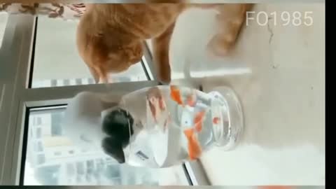 Funniest Animal🐵🐔🐶🐷 Dog , Cat and Rat 2022,With Training videos
