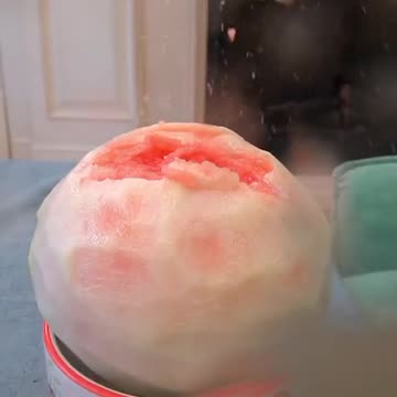 Happy Animal | Very Funny Cat