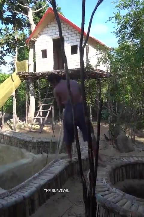 One house in the tree