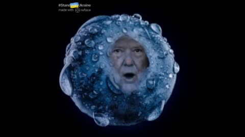 The Ultimate Donald Trump Blueberry Meme! 🫐