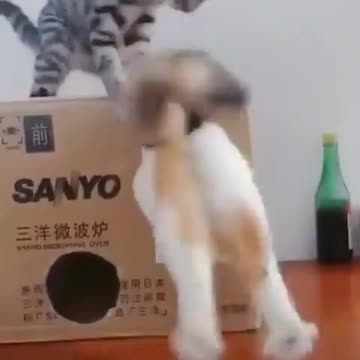 Don’t worry I am just trying to help you