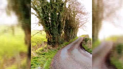 Slideshow from my morning walk in Bush, Spademill lane, Northern Ireland.