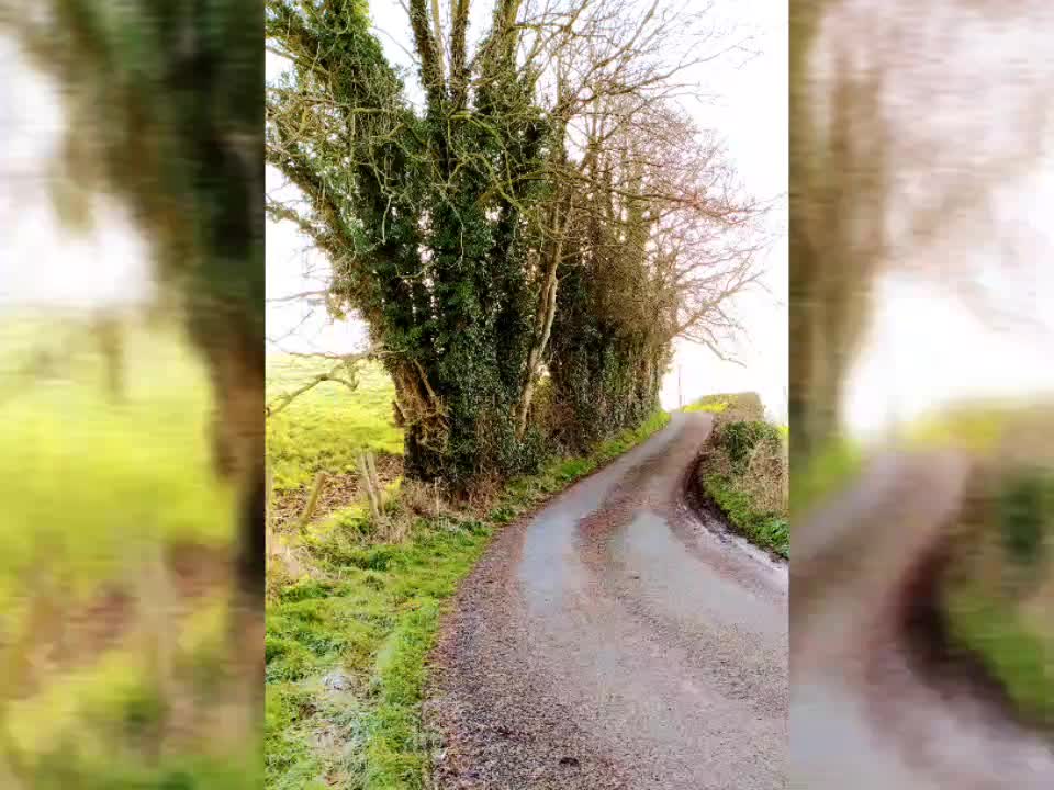 Slideshow from my morning walk in Bush, Spademill lane, Northern Ireland.