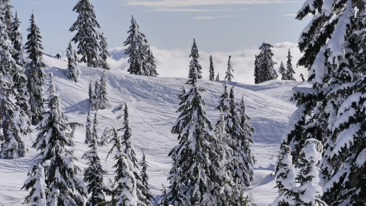 Canadian Mountain Peak Environment