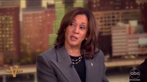 🌪️🚫 Kamala Harris Claims Hurricane Calls After DeSantis Accusation of Inaction