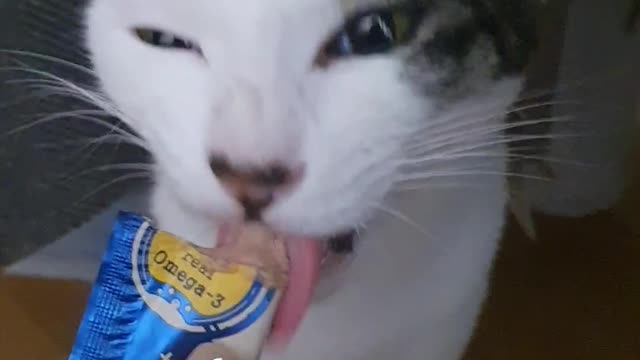 Is tuna delicious?