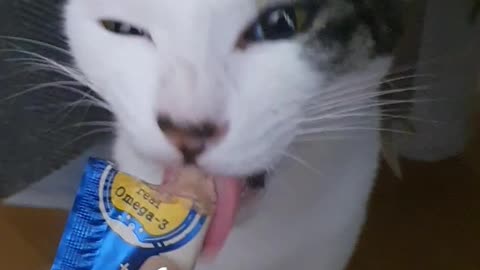 Is tuna delicious?