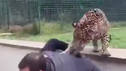 La Vita è un viaggio che permette di migliorarsi ed evolvere.