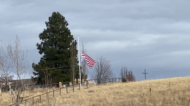 Distress in Montana