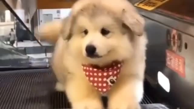 It's Tiring! Hurry Up!