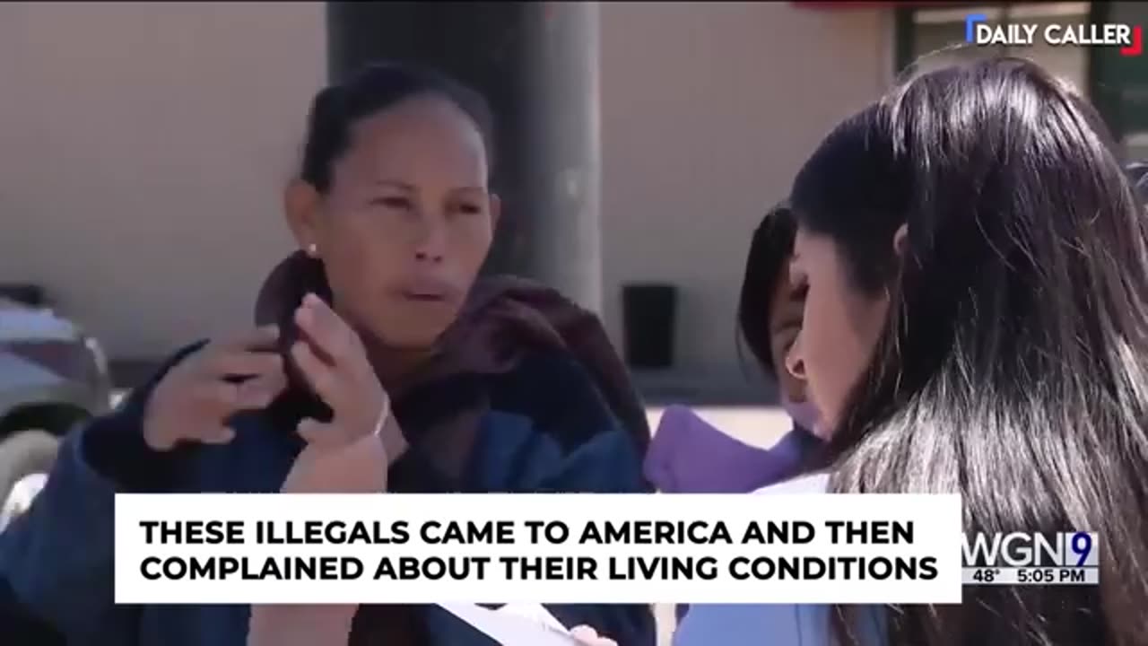 TheDC Shorts - When Illegals Come to the USA and Complain...