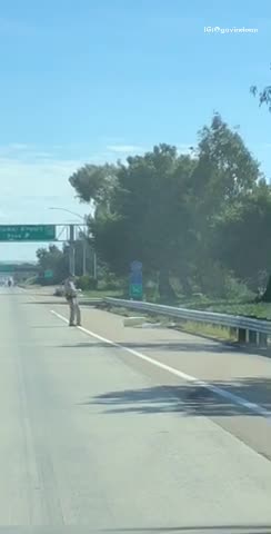 Police officer removes surfboard from middle of highway