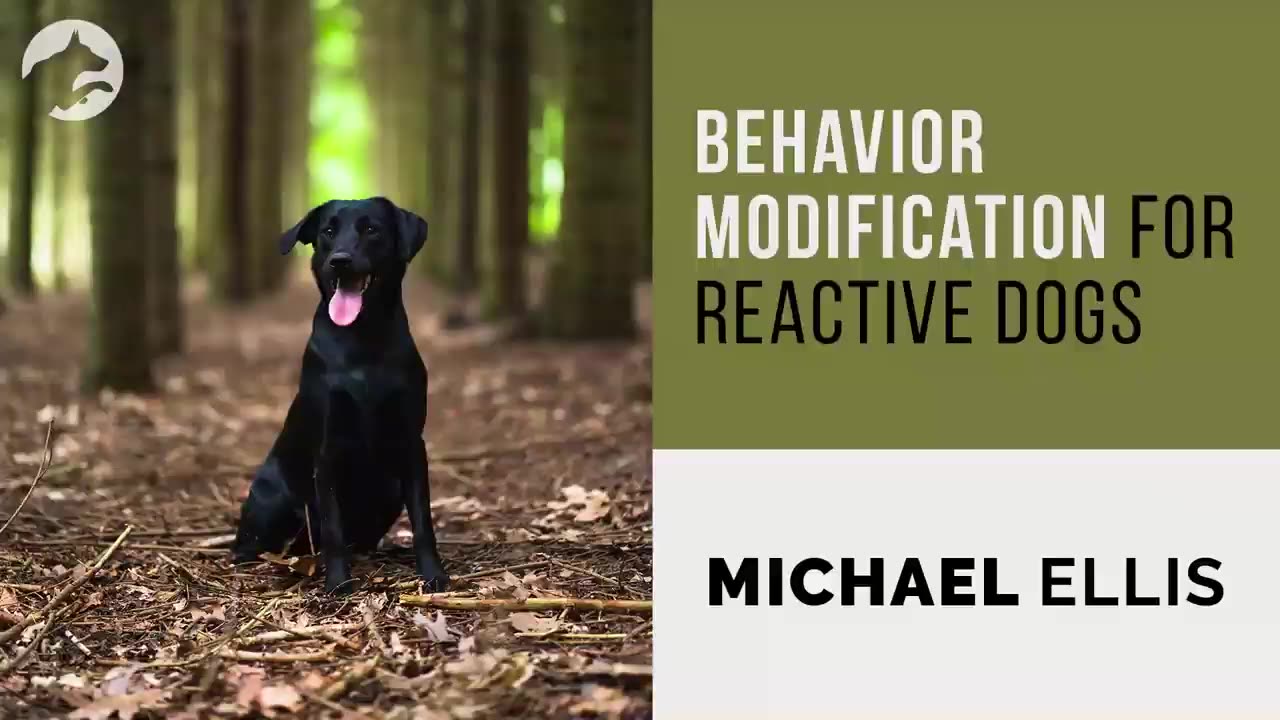 Behavior Modification for Reactive Dogs - Michael Ellis