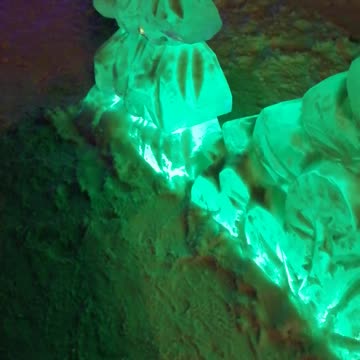 A beautiful figure of green in a winter evening.