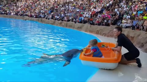 Cute baby with dolphin.