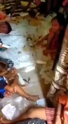 Antigen - PCR Tests made in Indien, China