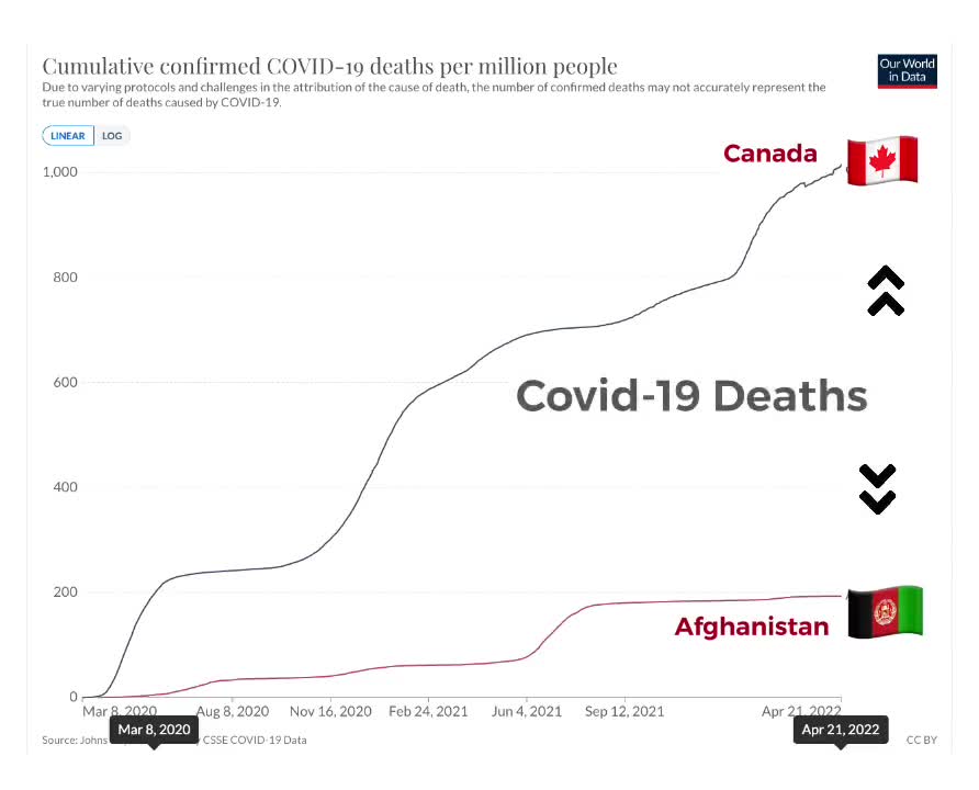 Compare death from COVID in Canada and Afganistan