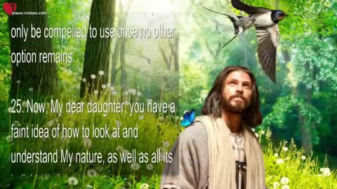 Butterfly & Swallow... Where both are missing, My Blessing is far away ❤️ Secrets of Creation