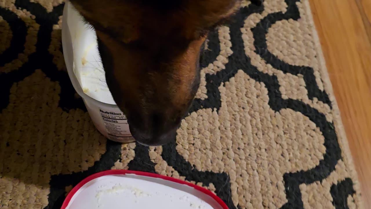 Virgil eats ice cream.