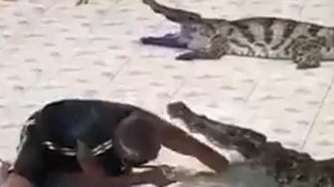 Un uomo e un coccodrillo - A man and a crocodile