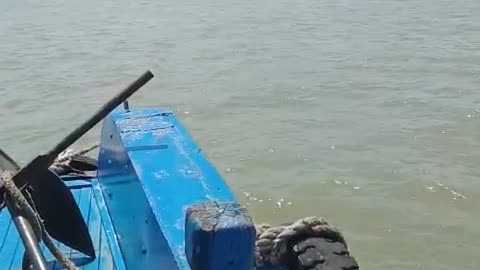Halong Bay Vietnam _vịnh hạ long việt nam -🇻🇳🇻🇳