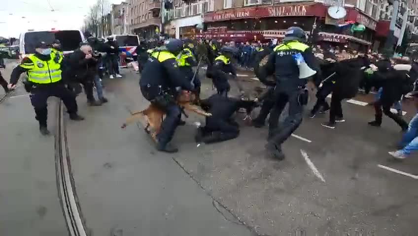 2-1-2021 Politie laat hond bijten. Afgescheurde pezen en zenuwen beschadigen man voor zijn leven