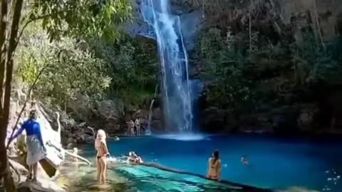 Nature lover 😘 short video #travel lover.