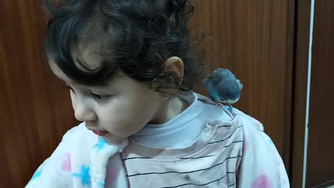 Finally, my daughter is no longer fear of the bird