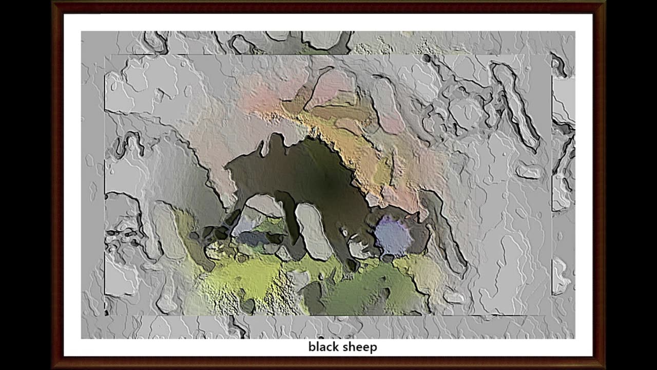 black sheep