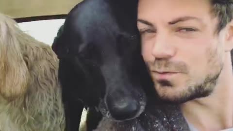 Dogs riding on passenger seats of car