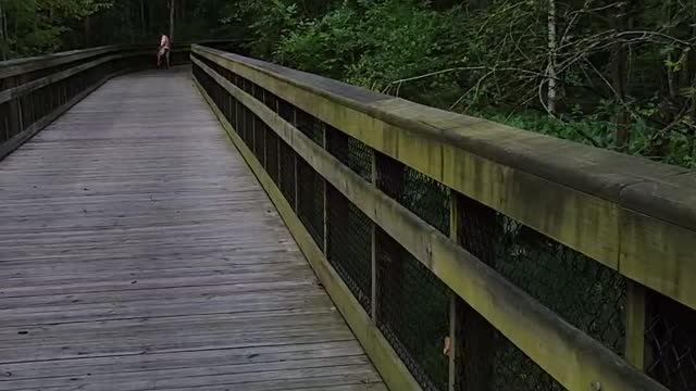 Neuse River Boardwalk