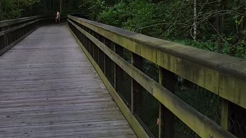 Neuse River Boardwalk