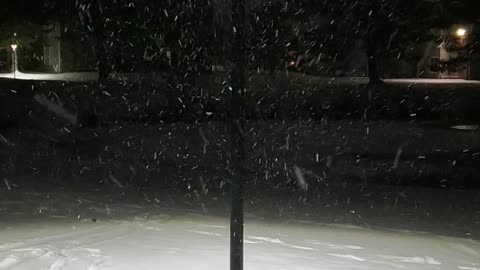 Snow Storm January 31 2021