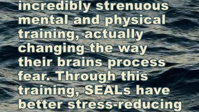 US Navy SEALs Have Trained Their Brains To Process Fear Differently