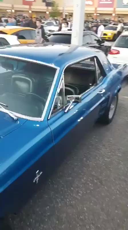 Sport Cars - Summer Cool Fun