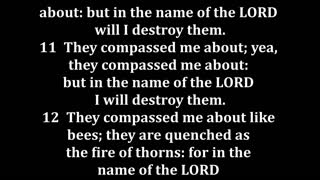 Psalms 118 King James version