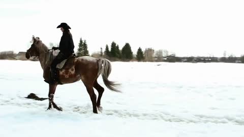 female cowboy rides a horse at a gallop