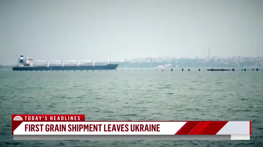 First Ship Carrying Ukrainian Grain Leaves Port Of Odesa