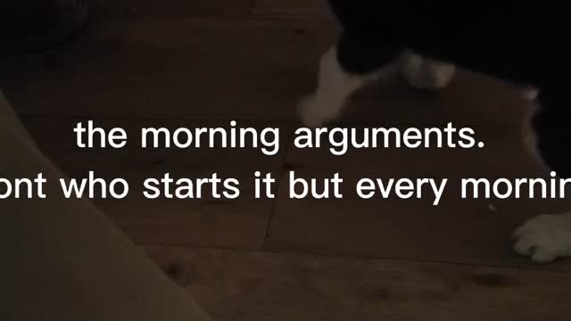 Morning arguments