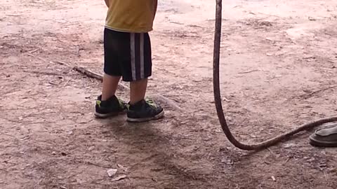 Baby gets attacked by grandpa via water hose!