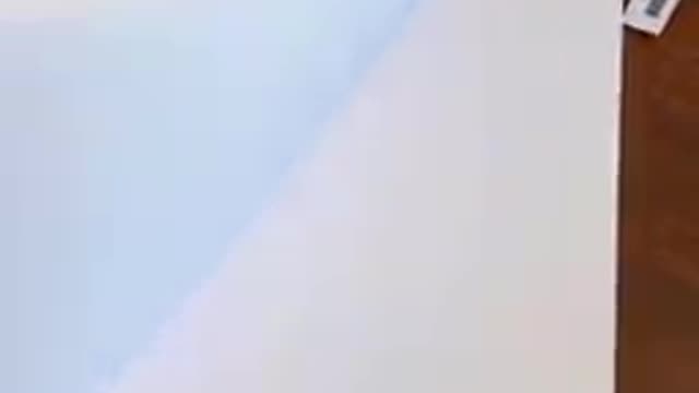 This is what the democrats offer Americans