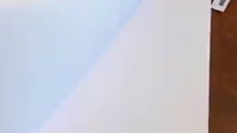 This is what the democrats offer Americans