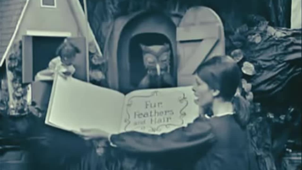 MisteRogers' Neighborhood #047 - Tuesday 23rd of April 1968 (NET)