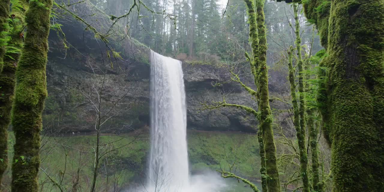 The waterfall