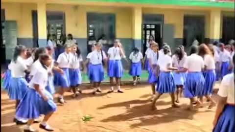 Culture, program