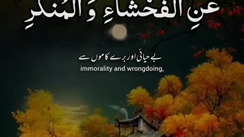 Real peace in Quran pak