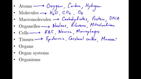 Human Anatomy and Physiology Course pre sale (view mobile)