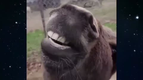 You're filming me